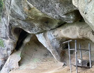 大姥山(おうばやま)登山